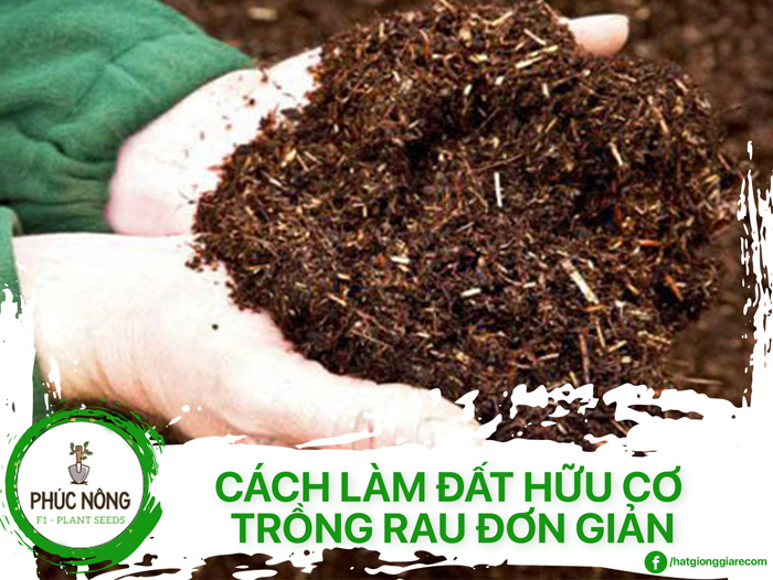 Hướng Dẫn Cách Làm Đất Hữu Cơ Trồng Rau Đơn Giản Ngay Tại Nhà