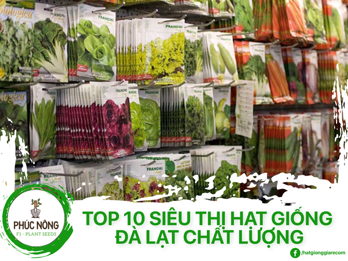 Top 10 Siêu Thị Hạt Giống Đà Lạt Chất Lượng